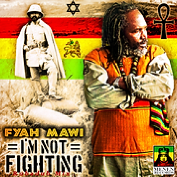 Im Not Fighting artwork
